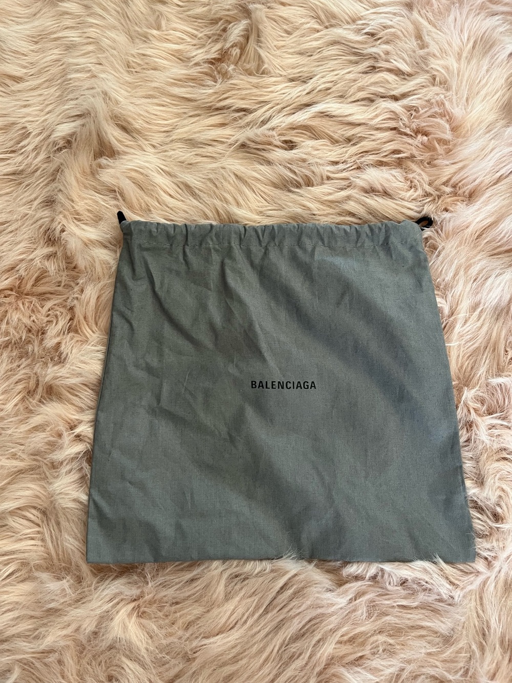 Balenciaga Dust Bag